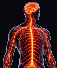 Overactive Nervous System